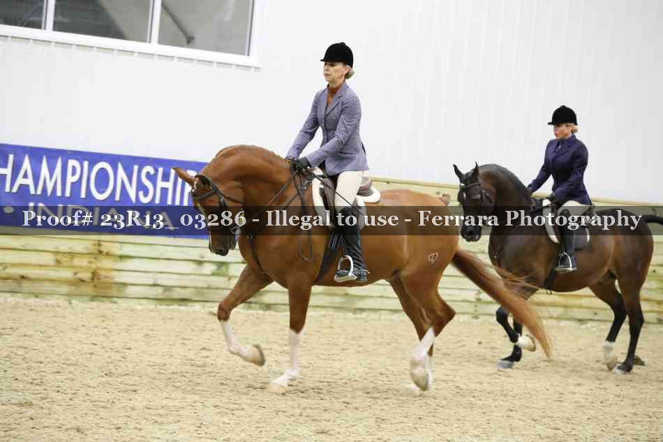 Proof 23R13_03286