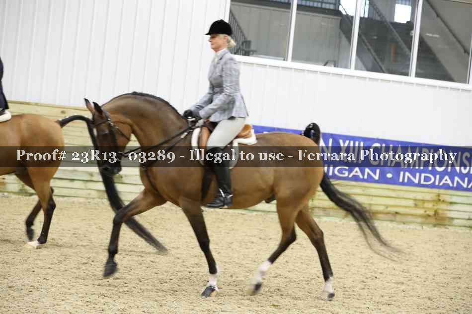 Proof 23R13_03289