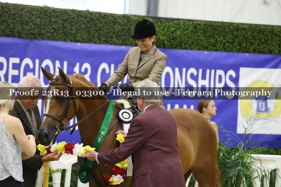Proof 23R13_03300