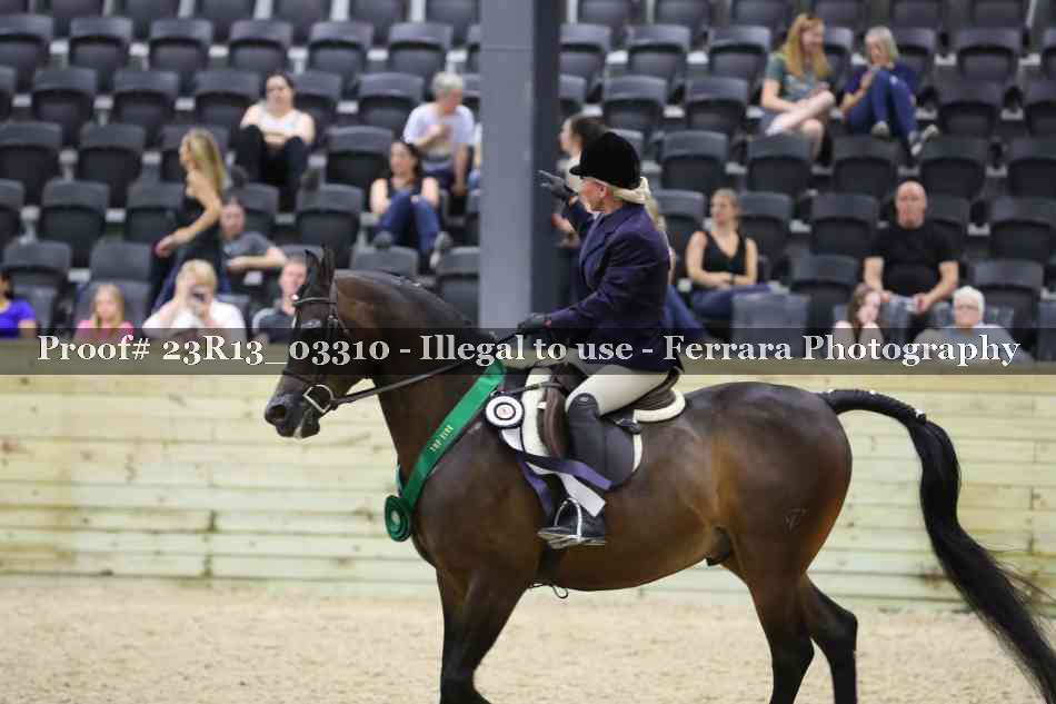 Proof 23R13_03310