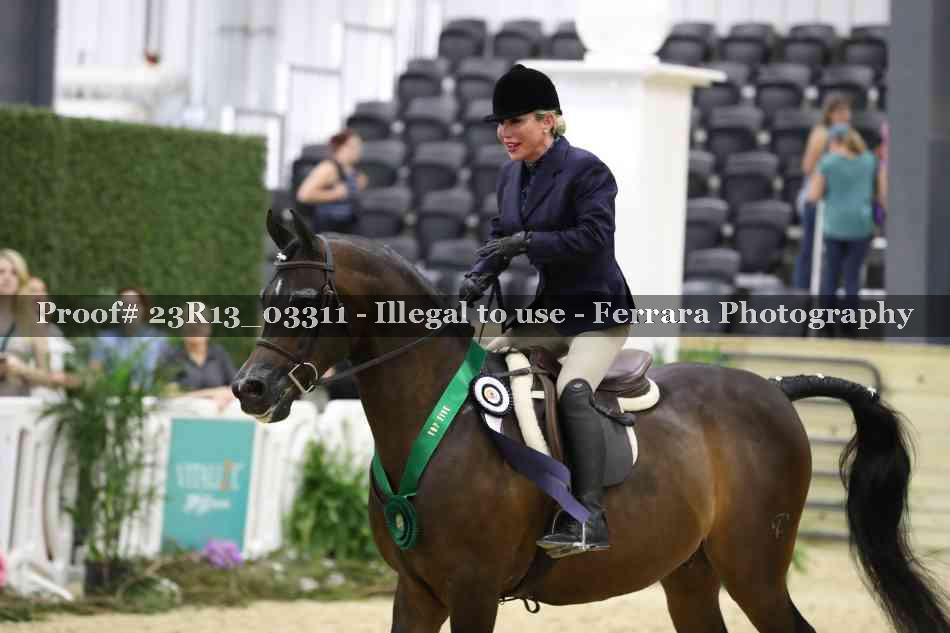 Proof 23R13_03311
