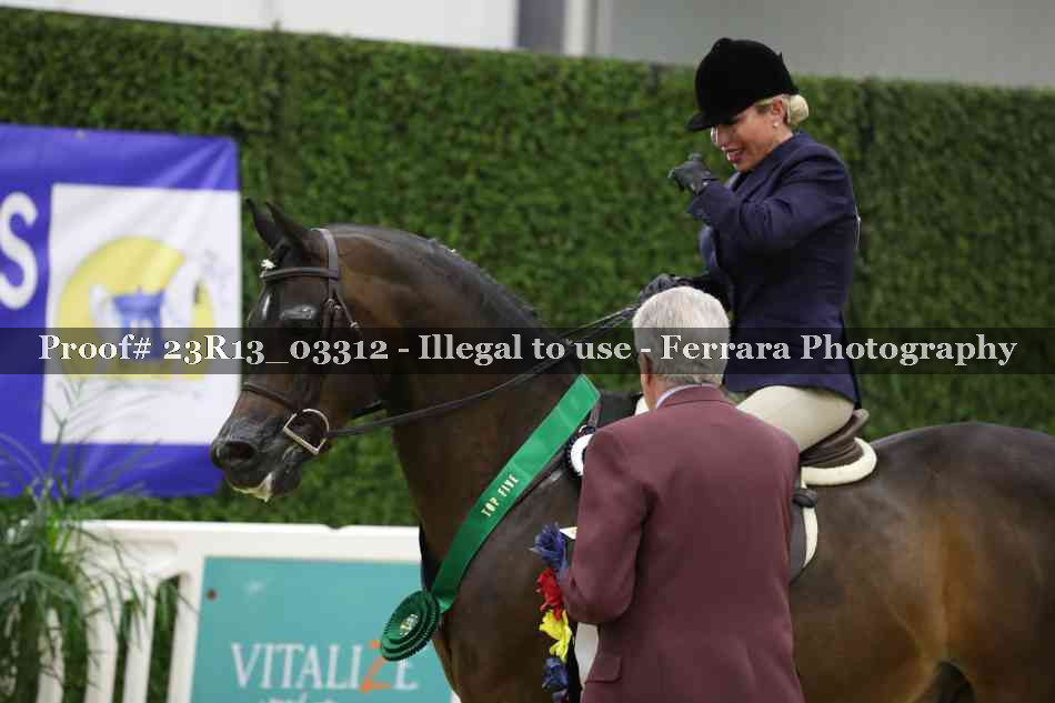 Proof 23R13_03312