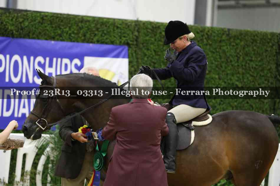 Proof 23R13_03313