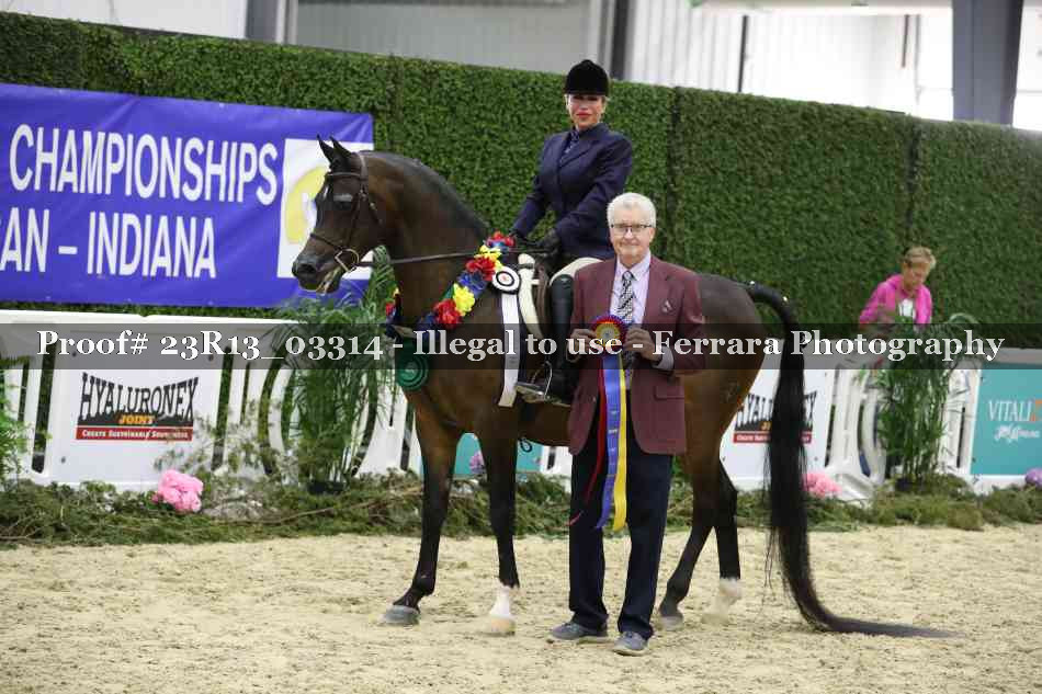 Proof 23R13_03314