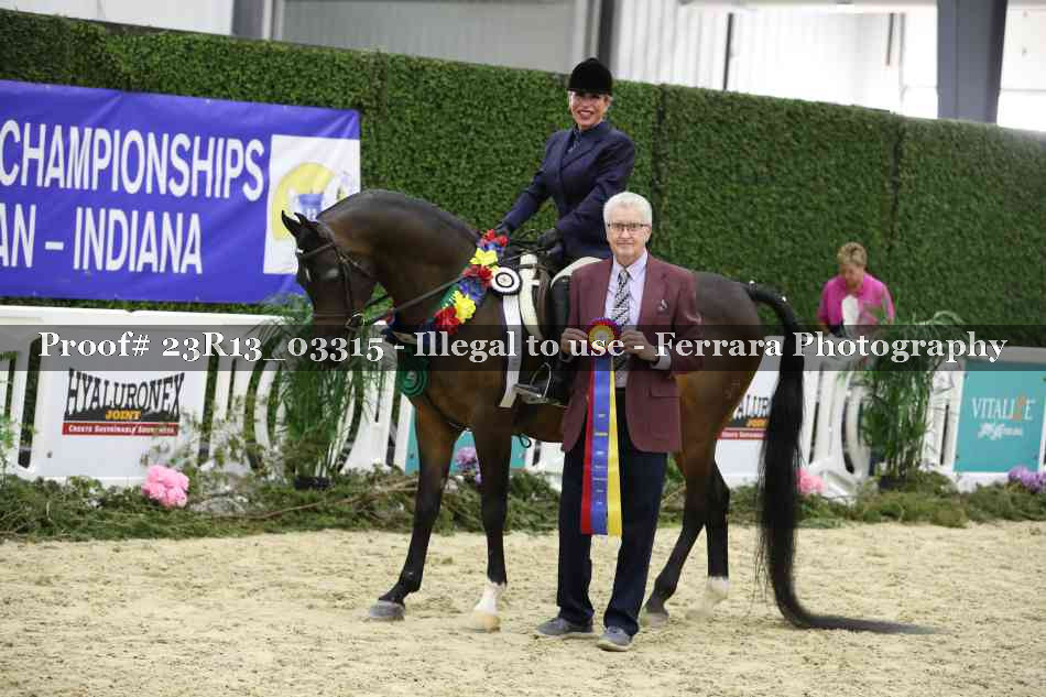 Proof 23R13_03315