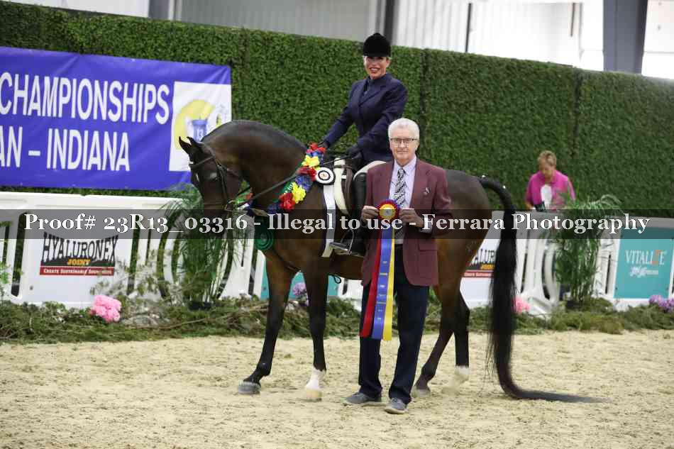 Proof 23R13_03316