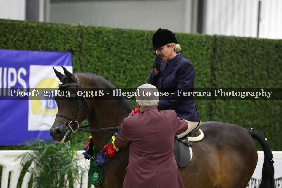 Proof 23R13_03318