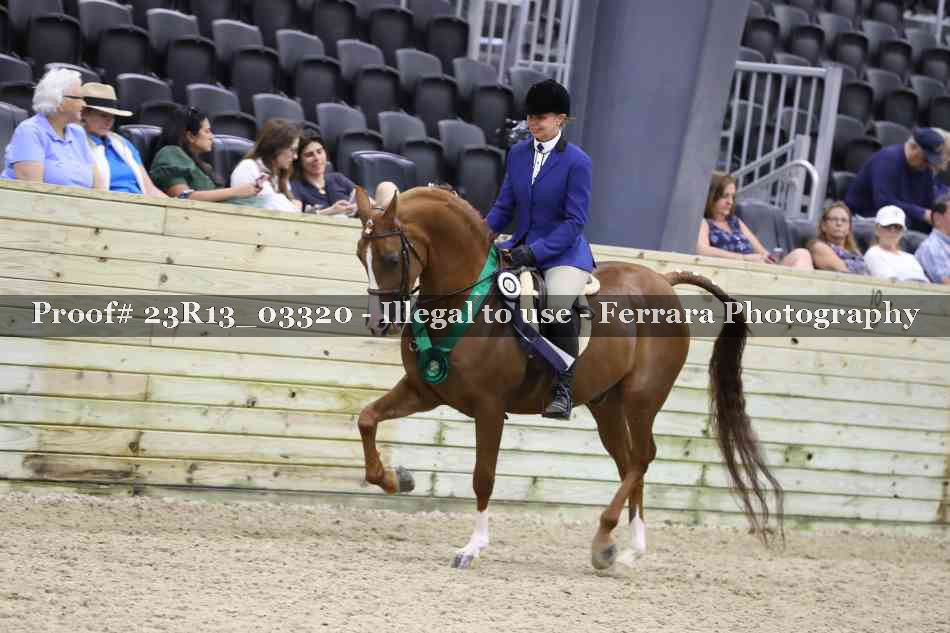Proof 23R13_03320