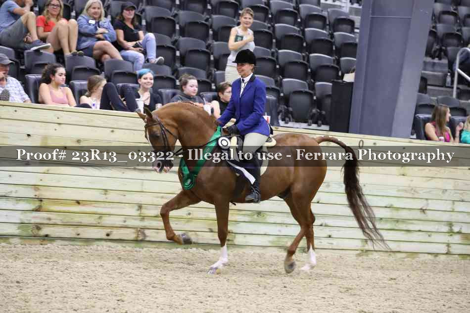 Proof 23R13_03322