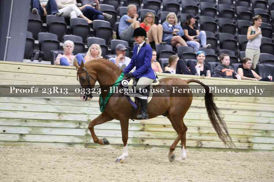 Proof 23R13_03323