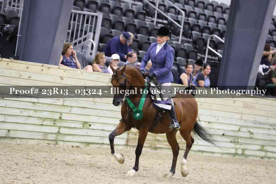 Proof 23R13_03324