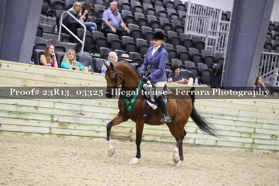Proof 23R13_03325