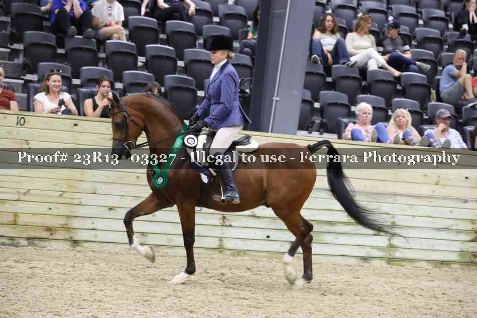 Proof 23R13_03327