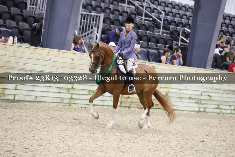 Proof 23R13_03328