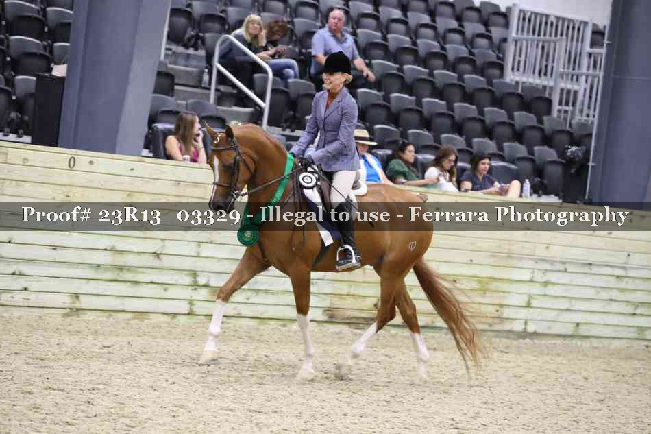 Proof 23R13_03329