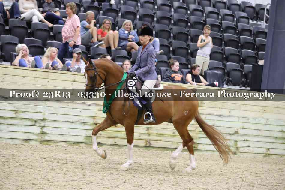 Proof 23R13_03330