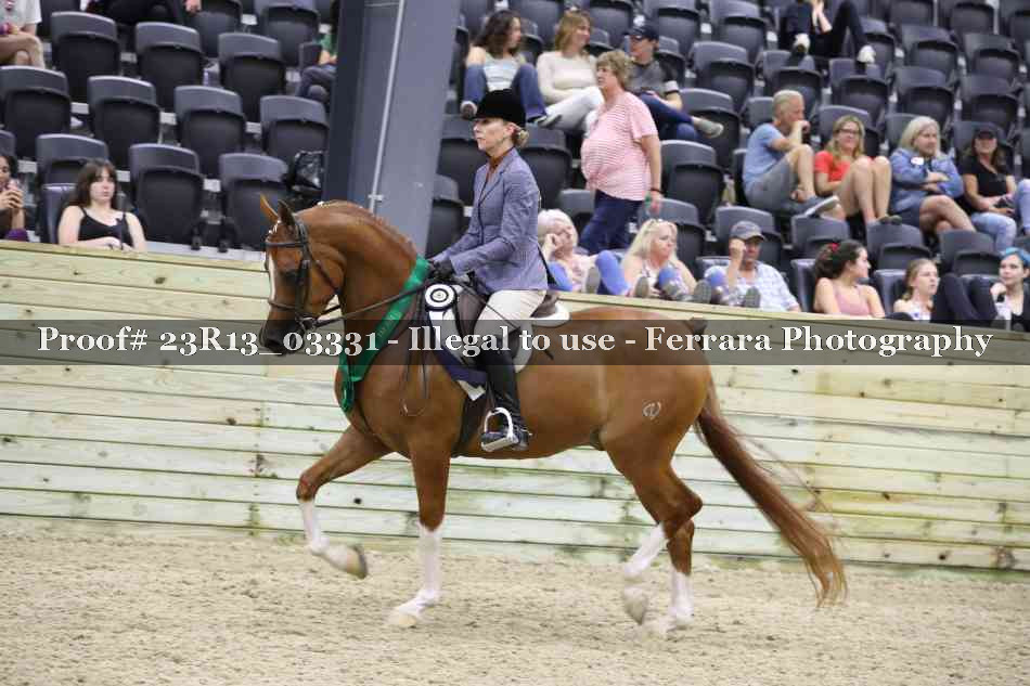 Proof 23R13_03331