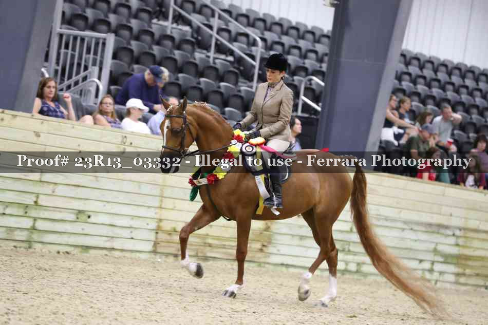 Proof 23R13_03332