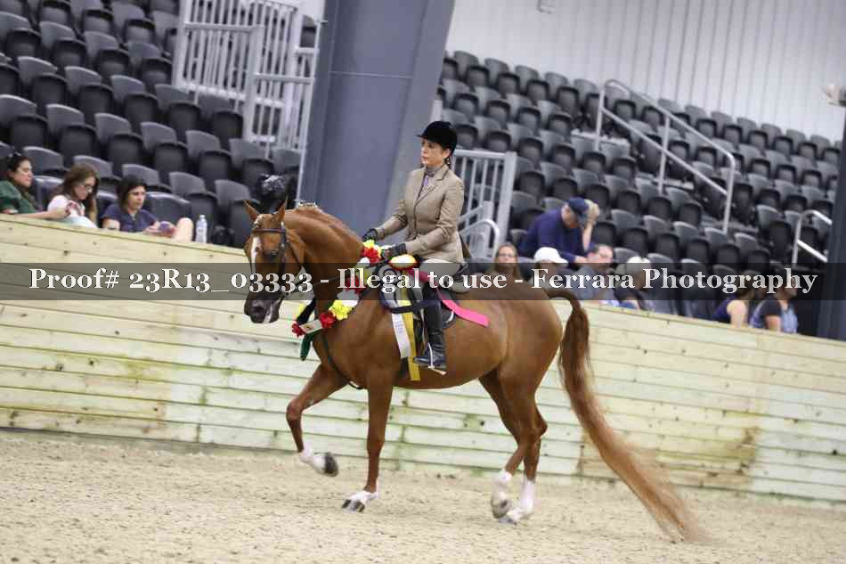 Proof 23R13_03333