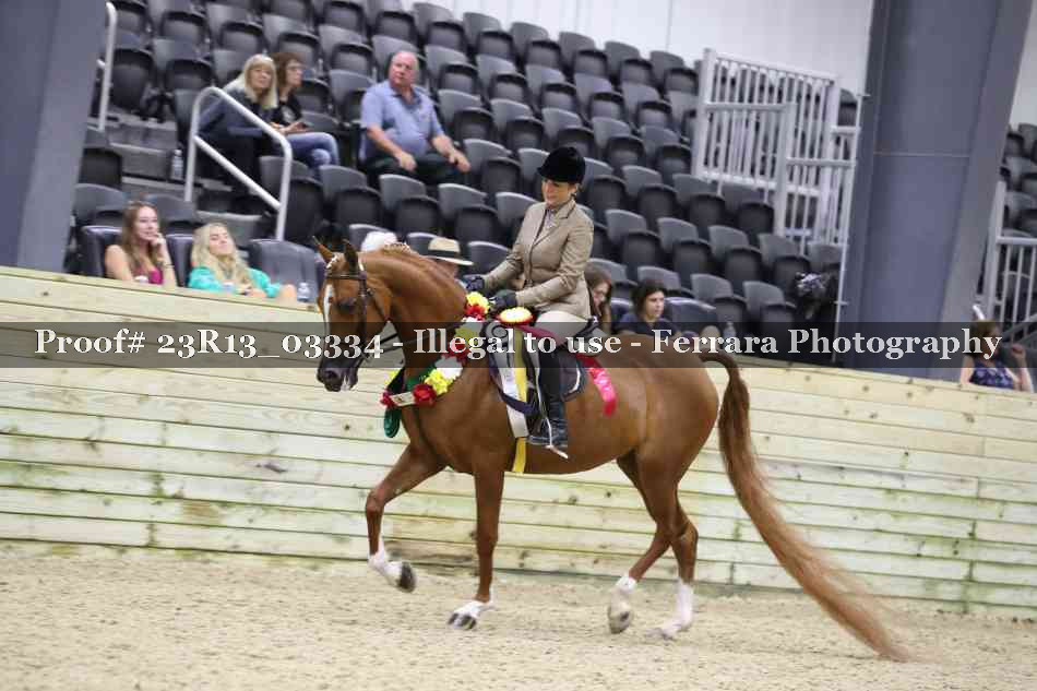 Proof 23R13_03334