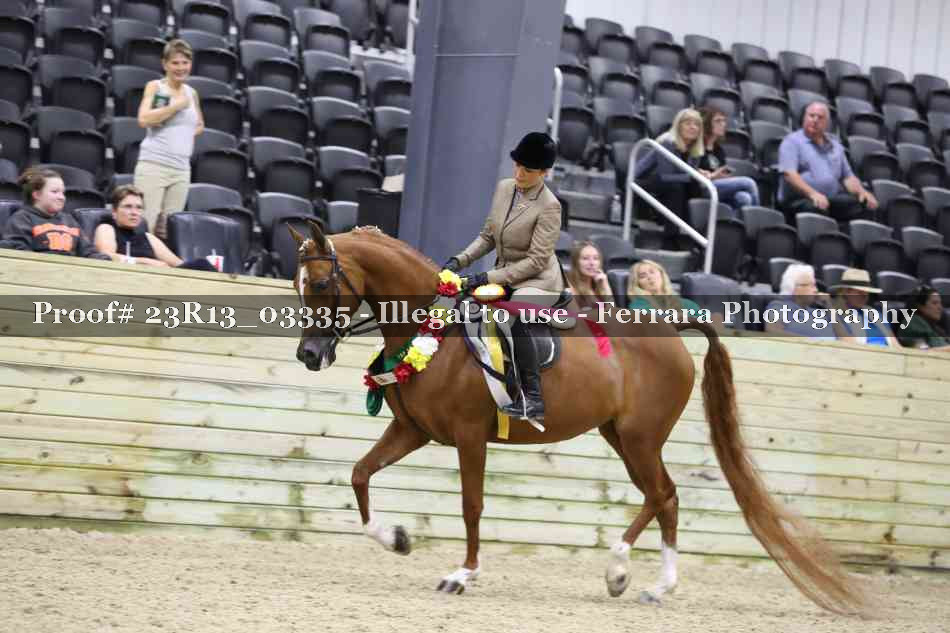Proof 23R13_03335