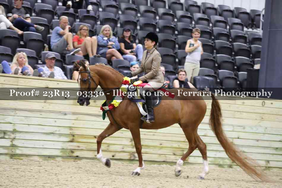 Proof 23R13_03336