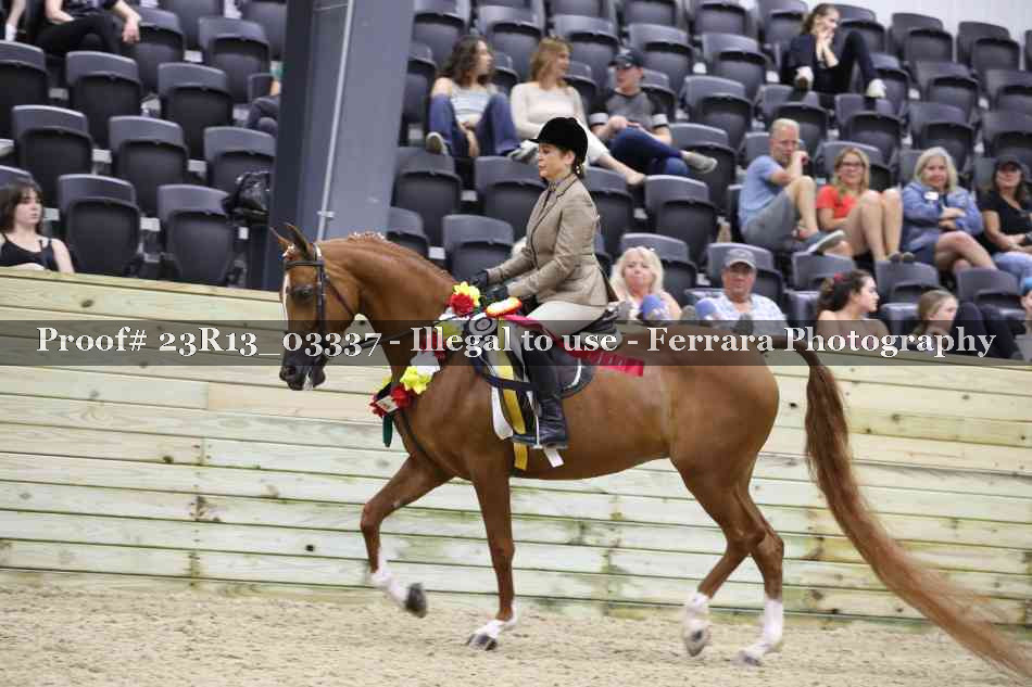 Proof 23R13_03337