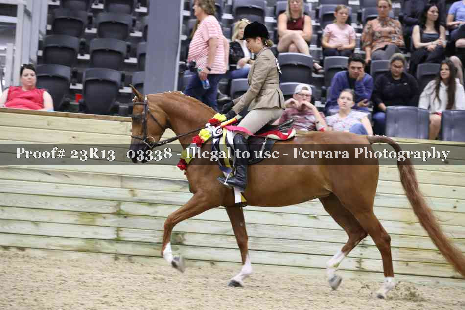 Proof 23R13_03338