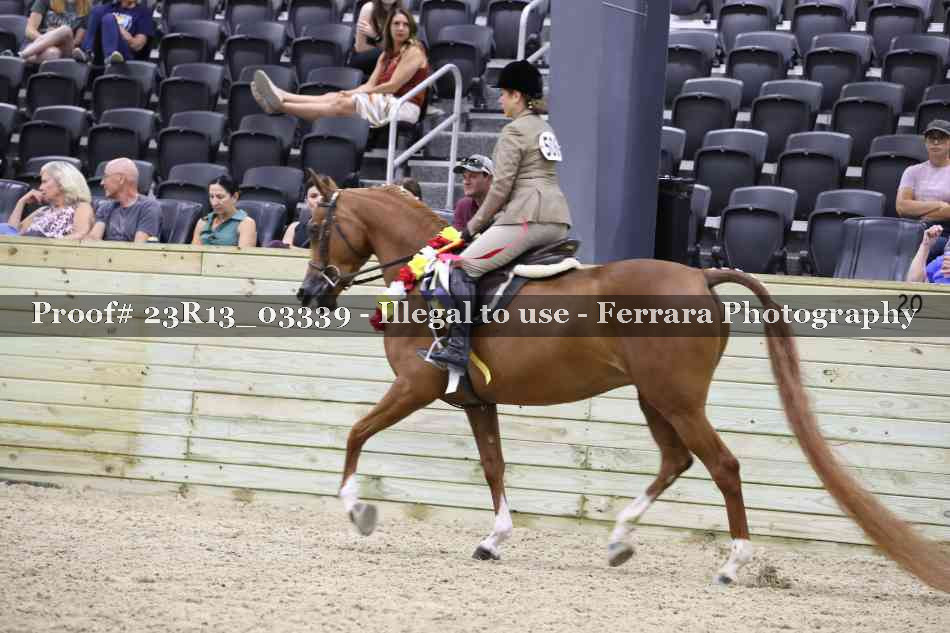 Proof 23R13_03339