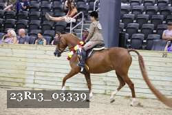 23R13_03339 proof