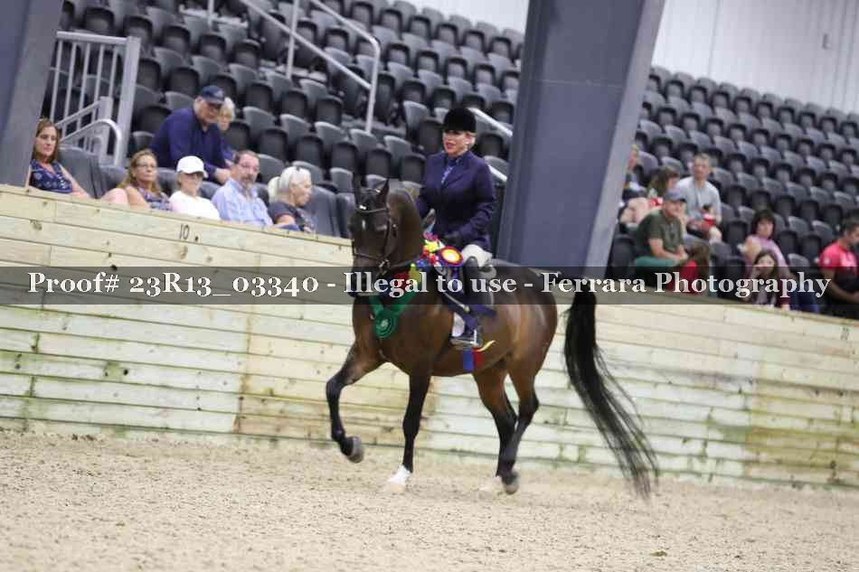 Proof 23R13_03340