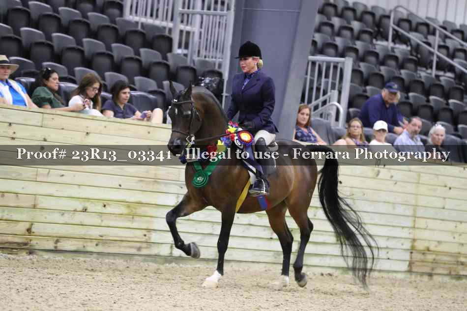 Proof 23R13_03341