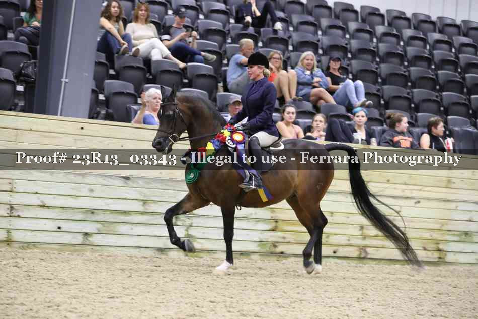 Proof 23R13_03343