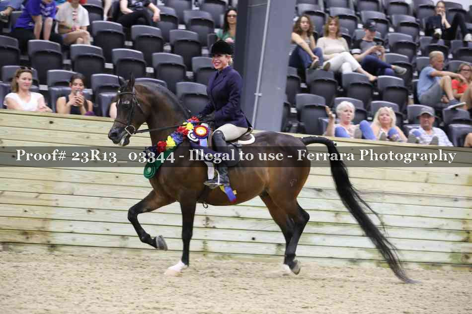 Proof 23R13_03344