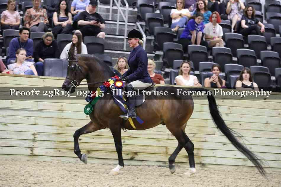 Proof 23R13_03345