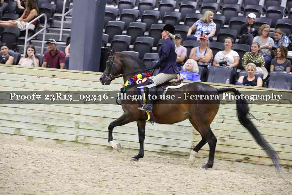 Proof 23R13_03346