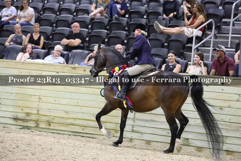 Proof 23R13_03347
