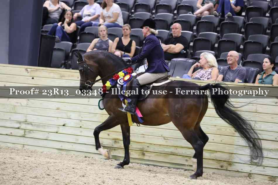 Proof 23R13_03348