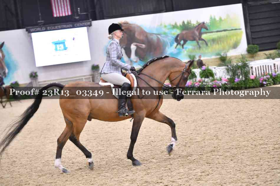 Proof 23R13_03349