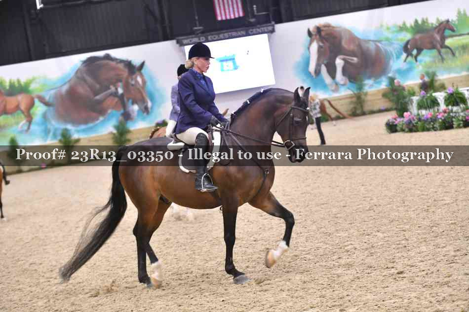 Proof 23R13_03350