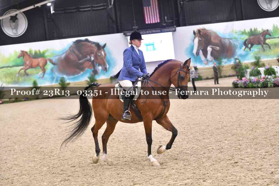 Proof 23R13_03351
