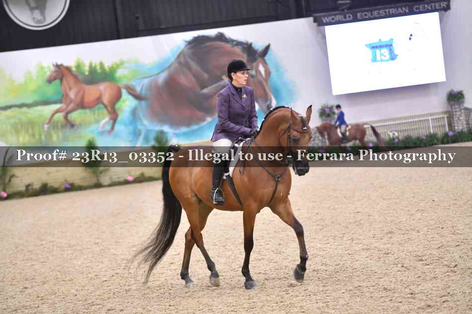 Proof 23R13_03352