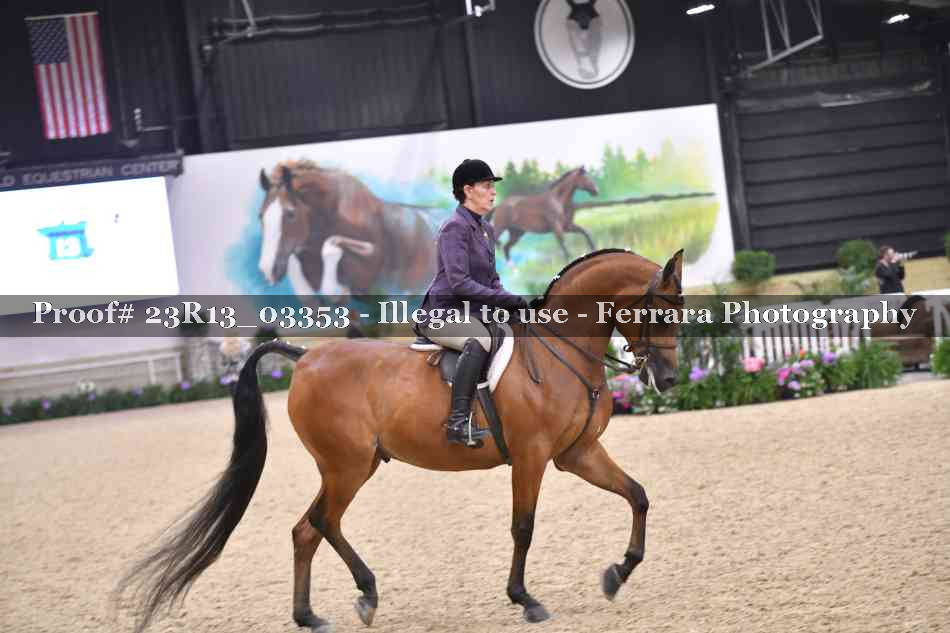 Proof 23R13_03353