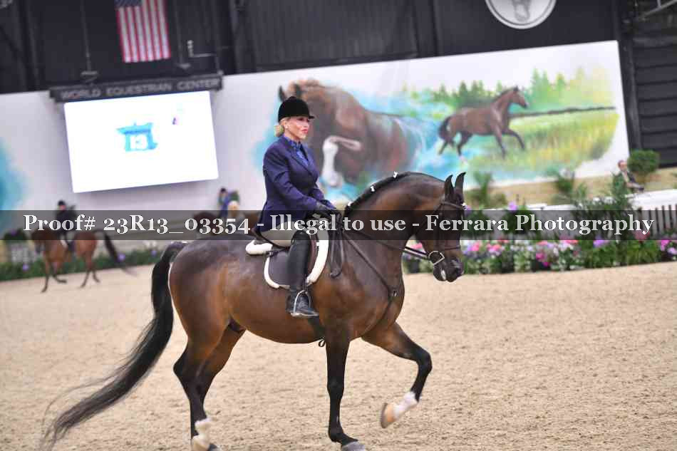Proof 23R13_03354
