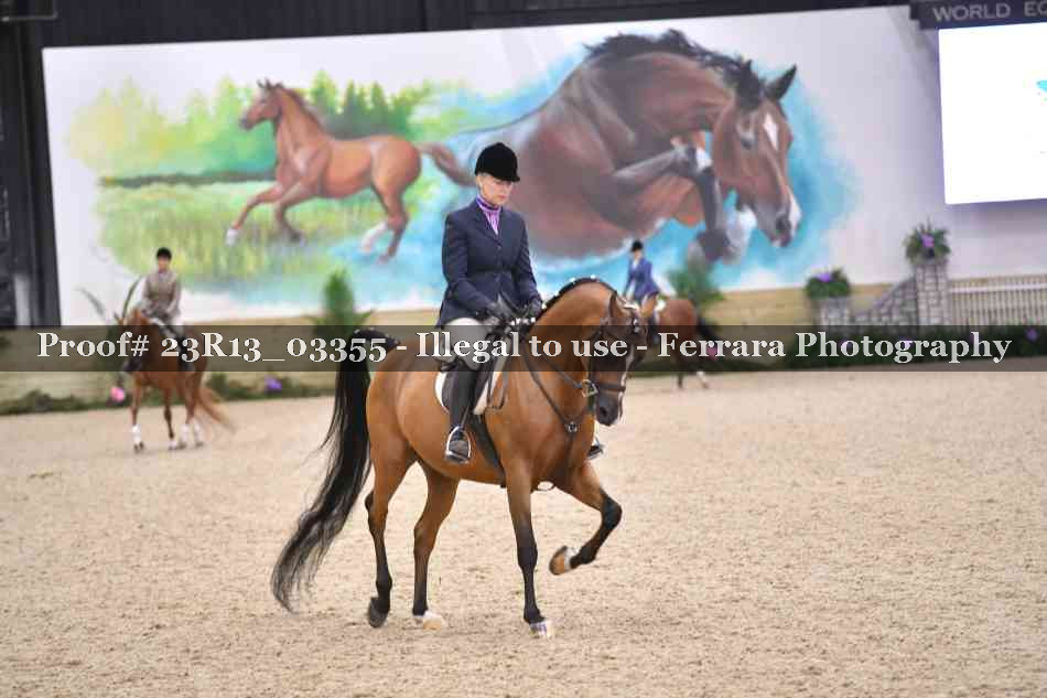 Proof 23R13_03355