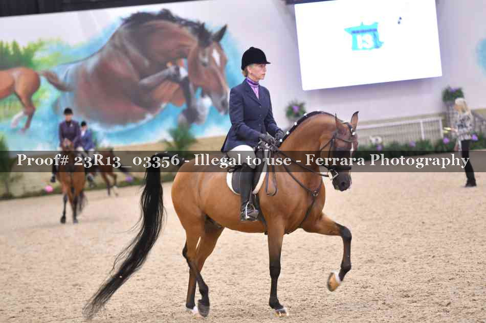 Proof 23R13_03356