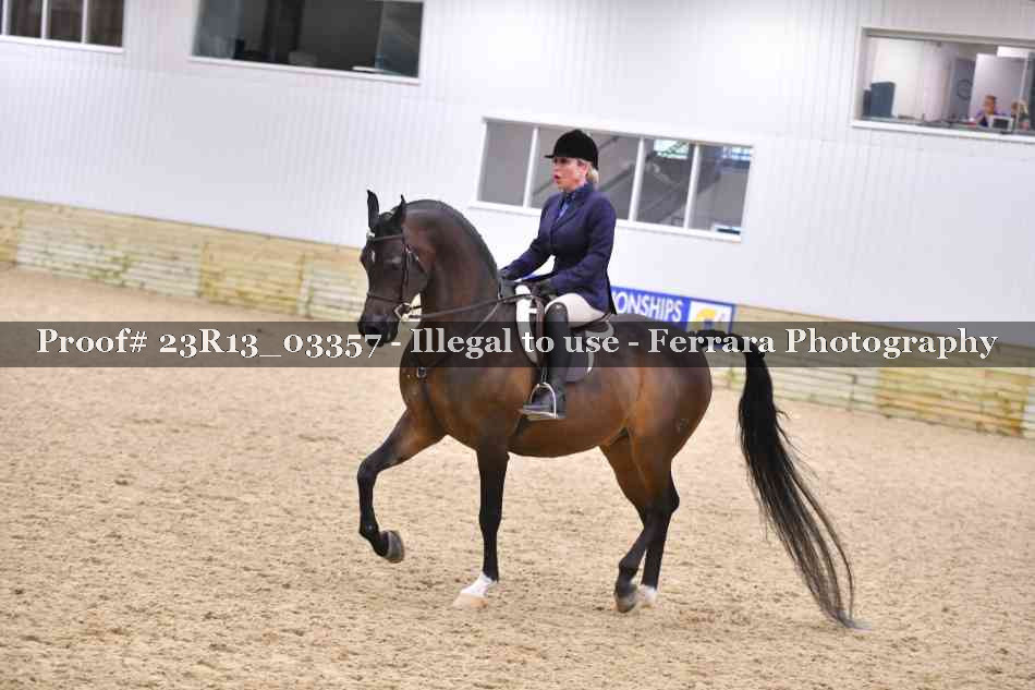 Proof 23R13_03357