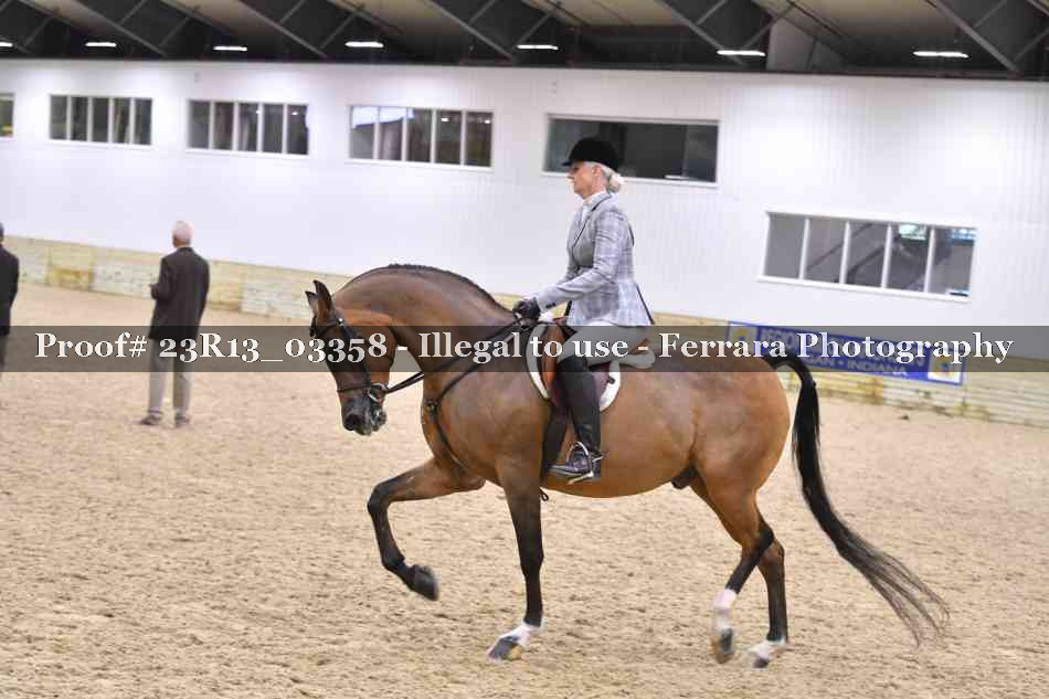 Proof 23R13_03358
