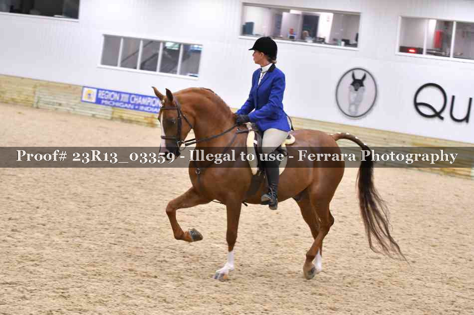 Proof 23R13_03359