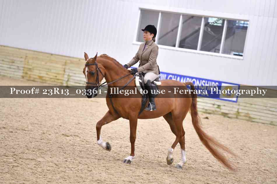 Proof 23R13_03361